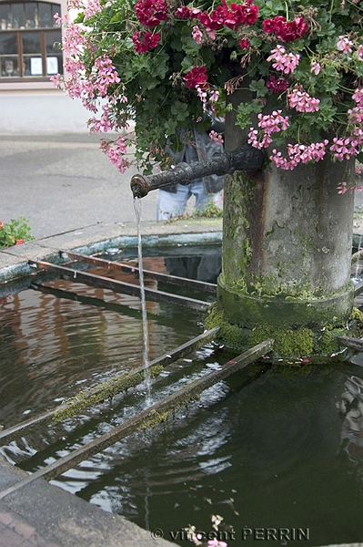 Fontaine Fleurie.jpg